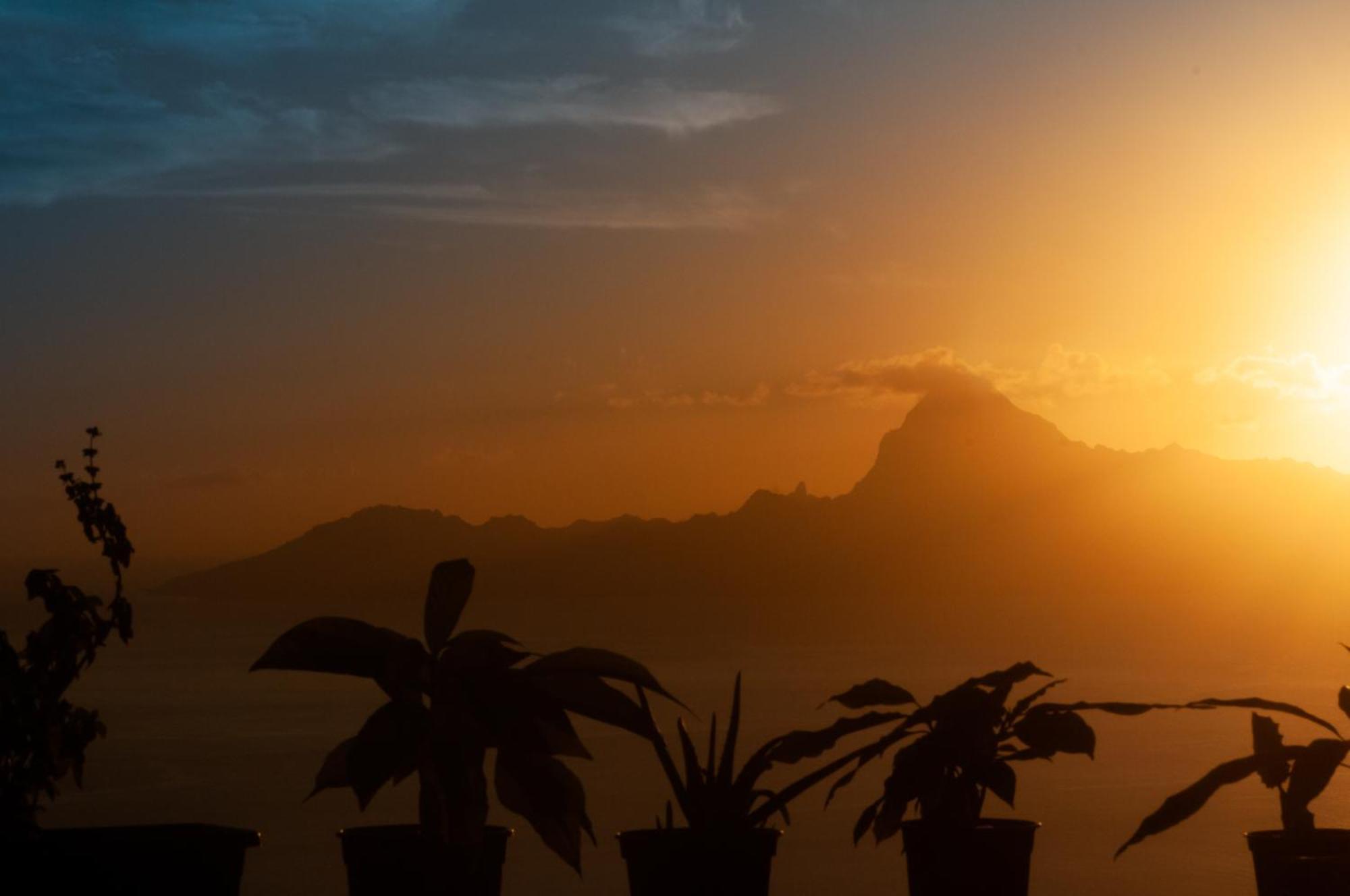 Vue Sur Moorea Appartement Punaauia  Buitenkant foto